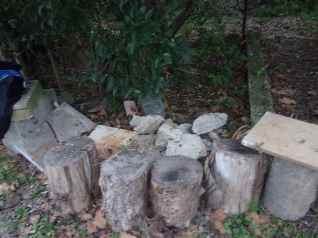 débarras de bois dans une maison dans le 6eme arrondissement de Marseille
